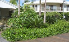 Landscaping Solutions Residential Landscaping Kwikfynd
